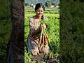 🥕 गाजर की खेती में लड़की का कमाल | खेत से सीधा ताज़ा गाजर #Harvest!#किसान #VillageLife #keramjivlog