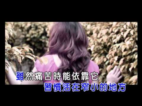 防火牆-KARAOKE.wmv
