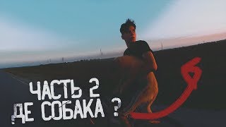 2 ЧАСТИНА ЩО З СОБАКОЮ | ПОКАТУШКИ | ДОВИЙ##№ВАВСЯ НА ЗАДНЬОМ