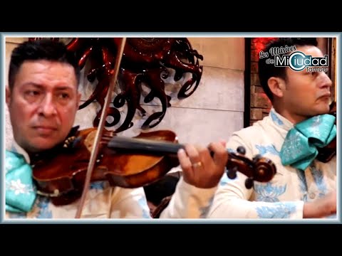INSTRUMENTAL (Cover).- Mariachi Juvenil Azteca Show  "LOS MUSICOS DE MI CIUDAD"