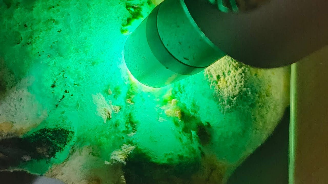 12.000 / 081264833995 