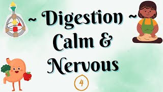 ~ Calm & Nervous Touch Digestion ~ Human Design ~