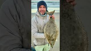 California Halibut Caught from the Surf | Guided Beach Fishing in SoCal #halibutfishing #halibut