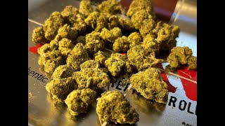 LOT 420 GLT T25 - Gelato #33 - UK Medical Cannabis Flower Review