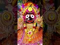 जय Jagannath जय श्री हरि 🚩🙏#jagannath #jagannathbhajan #viralshorts tranding #hari #bholenath