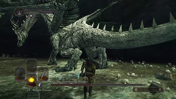 Sinh SL1 NG+7 CoC +0 Weapon - No Rolling/Sprinting/Blocking