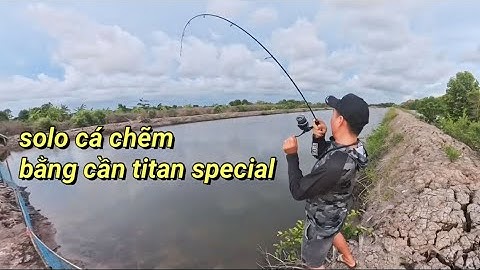 Câu cá chẽm bằng cần megabarra titan special quá cảm giác #chitoanfishing #fishing #cauca