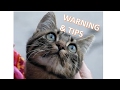 How to Protect yourself and your cat from worms ???