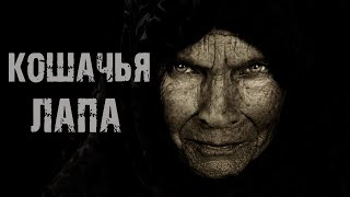 видео: Кошачья лапа - Ольга Нестерова. Страшные истории на ночь. Мистические рассказы про старуху. картинка: Кошачья лапа - Ольга Нестерова. Страшные истории на ночь. Мистические рассказы про старуху.