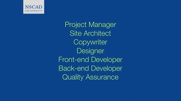 DSGN2510 Video 22: The Web Development Team