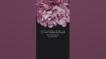 من سورة الاخلاص بصوت  الشيخ راشد الأركاني
