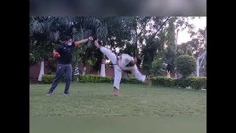 360 jump spin hook kick