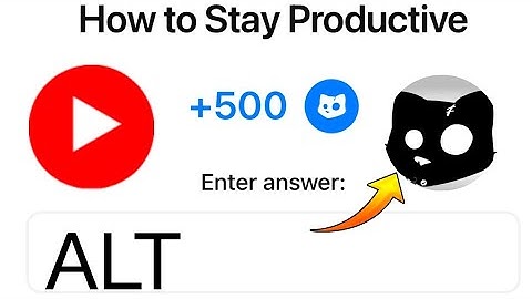HOW TO STAY PRODUCTIVE CODE CATS