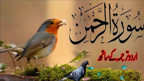 Surah Ar Rahman  سورة الرحمن | FOR DEEP INNER PEACE | Surah Rahman |Daily Quran tilawat #surahrahman