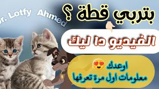 لايڤ19 _ أمراض و مشاكل القطط اللي ممكن تقابلِك كمربية  [ اعراض ، اسباب ، علاج ، وقاية ] #veterinary