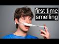 I got Surgery to Smell for the First Time