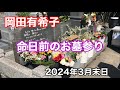 岡田有希子 命日前のお墓参り 2024年3月末日