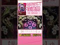 04年西陣さん！花満開極・ほのか頼まぃ‼︎