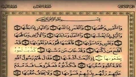 سلمان العتيبي - سورة الشمس