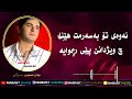 هەردی سەڵاح هەرچی وتت هەر درۆ بوو      