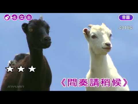 赤い夕陽の故郷cover  家家220731 1907