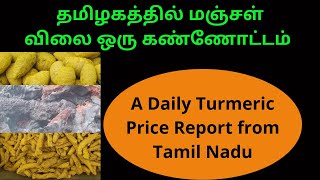 A Daily Turmeric Price Report from Tamil Nadu | தமிழகத்தில் மஞ்சள் விலை ஒரு கண்ணோட்டம் | Haldi Rate