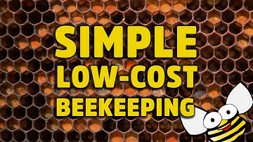 Introduction to simple low cost beekeeping - HNBEES  #1