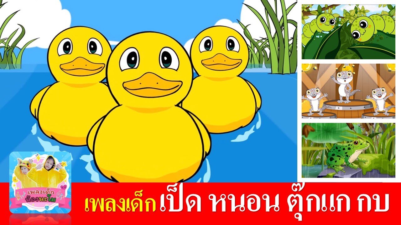 เพลงเด็ก เป็ด หนอน ตุ๊กแก กบ