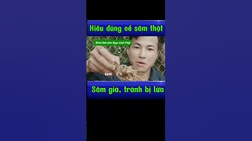 Cách phân biệt sâm ngọc linh thật giả. Sâm Ngọc linh Đà Nẵng.Quốc Bảo Việt Nam. #samngoclinhthatgia