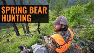 How To Find OTC Spring Bear Opportunities The Easy Way
