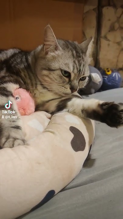 Королєва 😍 - YouTube