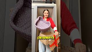 Kedilerin Koli Sevgisi