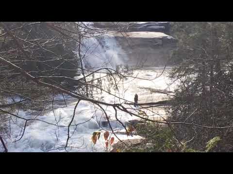 Dogwoods Retreat Brevard Nc Cabin Rentals Dog Friendly