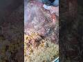Famous Peshawari Mouth Watering Zaiqa Beef Pulao | Degii Channa Mewa Chawal #pakistanifoods #food