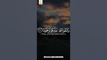{إنما المؤمنون إخوة”}الحجرات، الآية 1