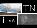 Live Snowfall in Tennessee's Sequatchie Valley (Chattanooga) | Study, Work, Relax
