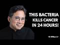 “This ONE Food Activates DNA Repair &amp; Fights Inflammation (Science Explained)