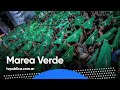 Informe: Marea Verde - 40 Años de Democracia
