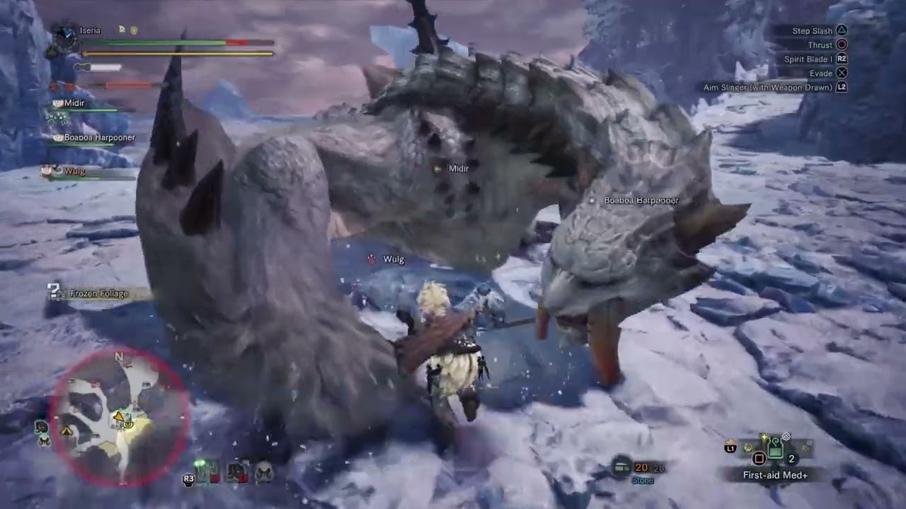 LET'S CAPTURE 2 MONSTERS BARIOTH AND SAVAGE DEVILJHO