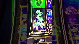 This Slot Kept Paying Me