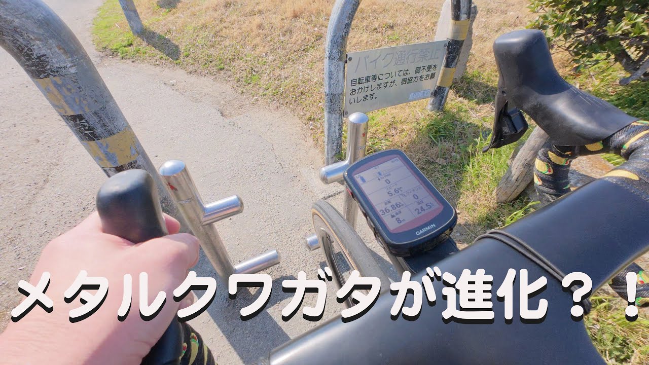 Observing the evolved metal stag beetles of the Yodo River - YouTube