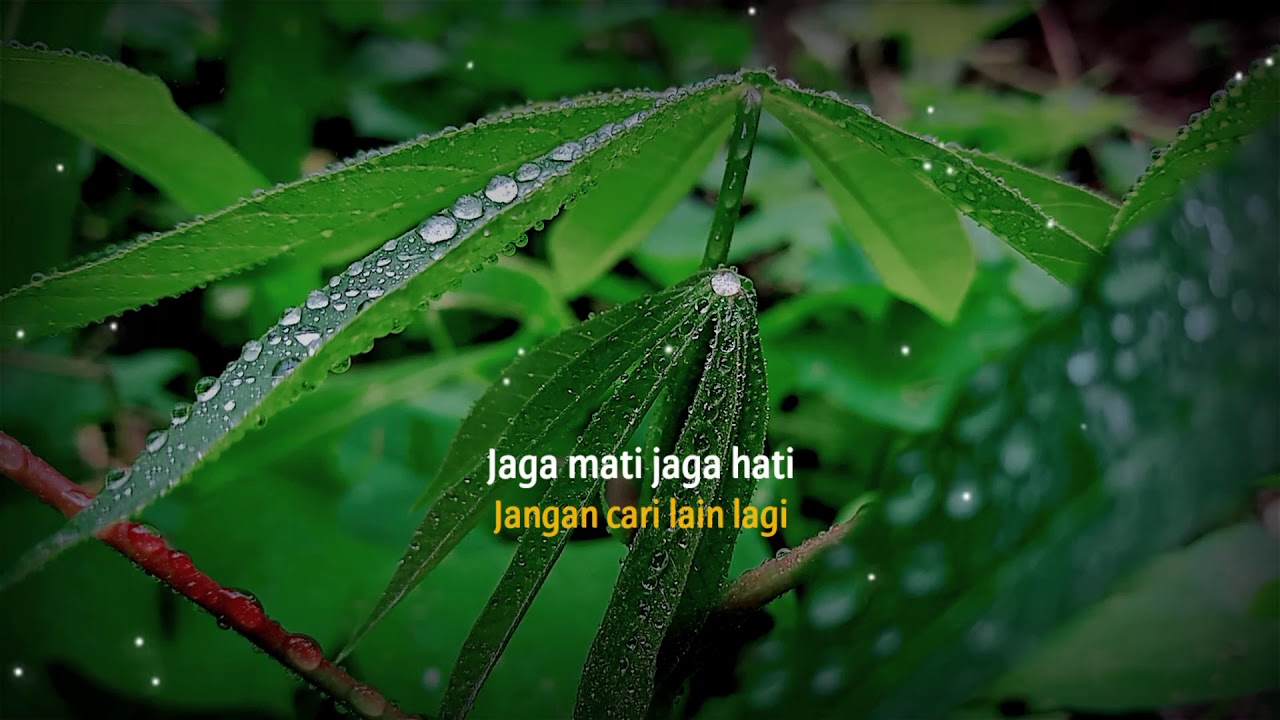 Jaga Mata jaga hati Story WA 30 detik