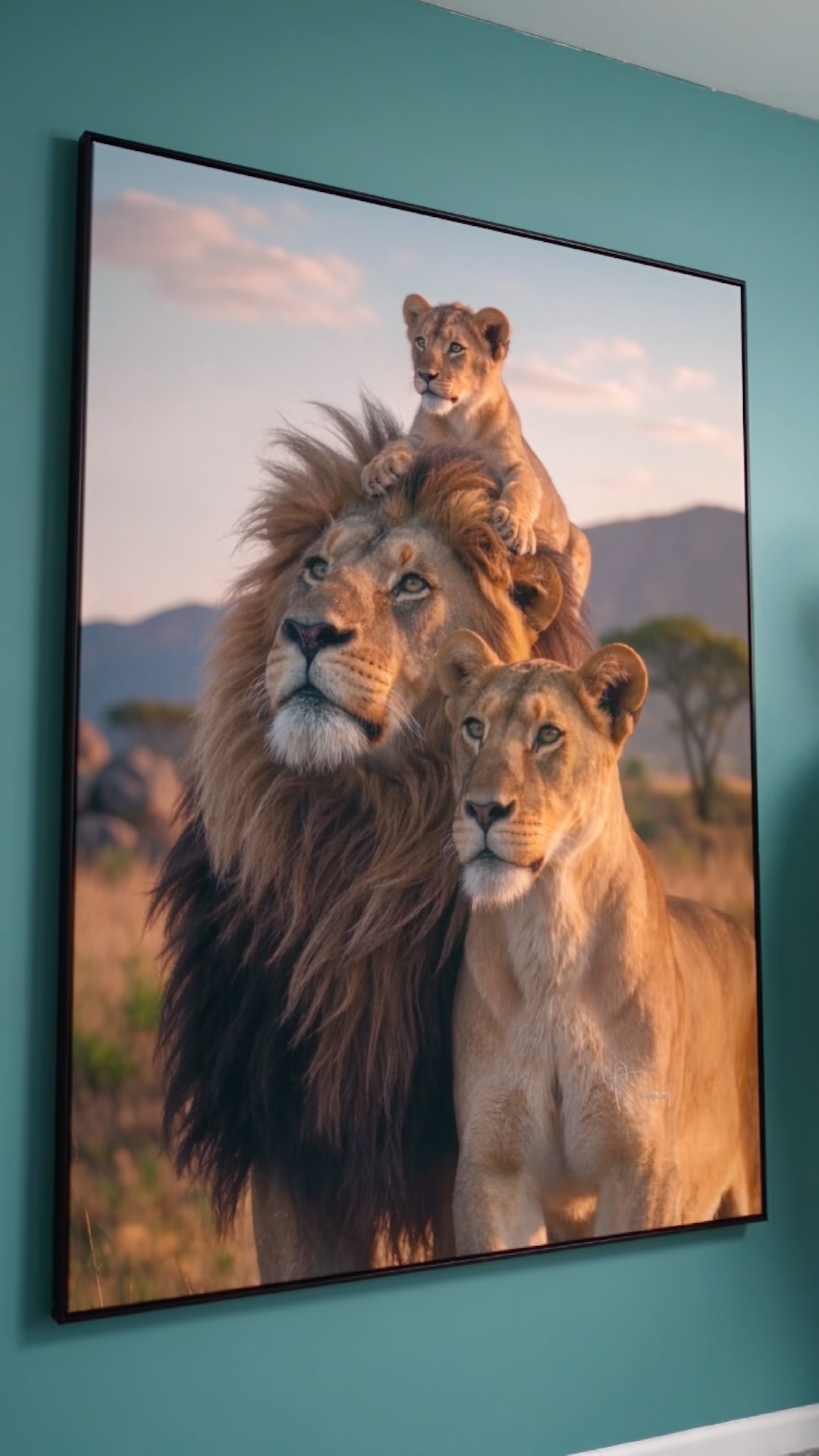 Vídeo de Quadro Família de Leões ao Entardecer