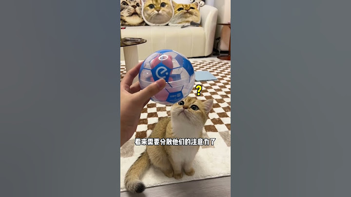 【牛奶是只猫】好家伙看个比赛真不容易……成本有点大……