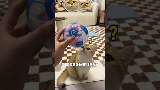 【牛奶是只猫】好家伙看个比赛真不容易……成本有点大……