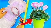 Why I Use Disposable Diapers In The Garden! 