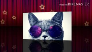Download Cine Ma Ajuta Cu 6 Abonați? ? Video MP3 Cine Ma Ajuta Cu 6 Abonați? ?
