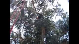 Flying Trapeze Back End Straddle Whip