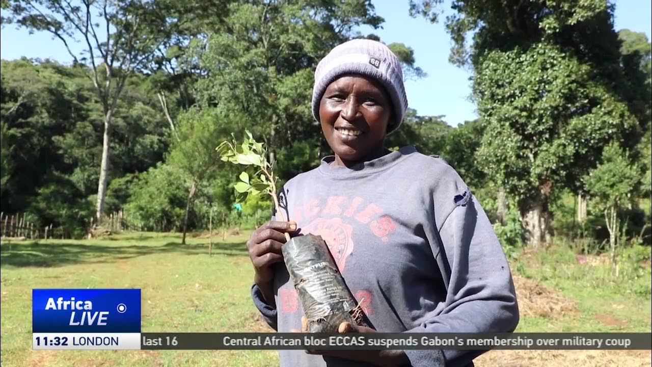 Kenyan government working with communities to drive reforestation agenda