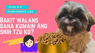 BAKIT WALANG GANA KUMAIN ANG PUPPY KO?‍♀ | POSSIBLE REASON & REMEDIES | Stohner Squad Vlog #26